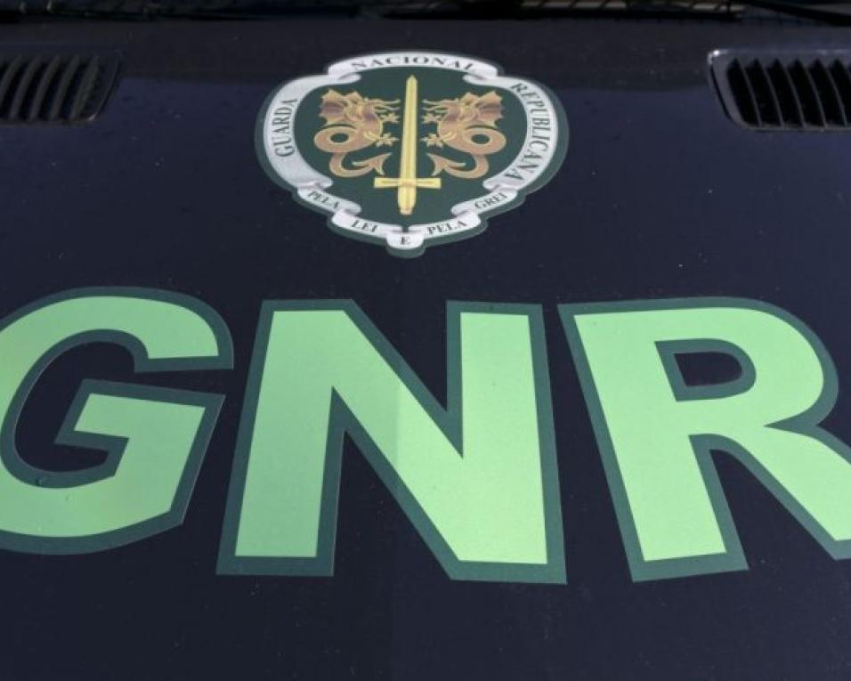 GNR de Vagos: Detetado centro de depuração ilegal. GNR de Vagos: Detetado centro de depuração ilegal.