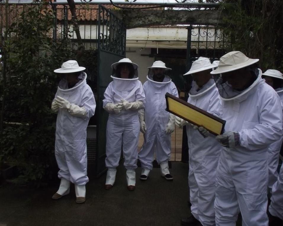 Vilarinho do Bairro: Aidos da Vila celebra Dia Mundial das Abelhas em Anadia. Vilarinho do Bairro: Aidos da Vila celebra Dia Mundial das Abelhas em Anadia.