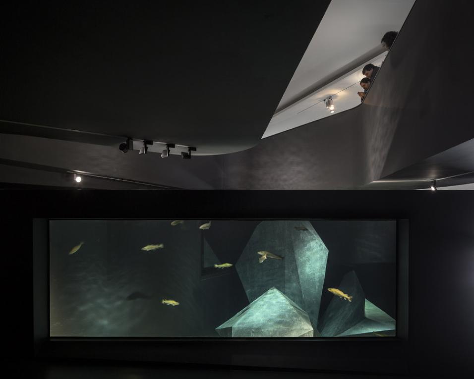 Aquário dos Bacalhaus do Museu Marítimo de Ílhavo (MMI) celebra 6.º aniversário. Aquário dos Bacalhaus do Museu Marítimo de Ílhavo (MMI) celebra 6.º aniversário.