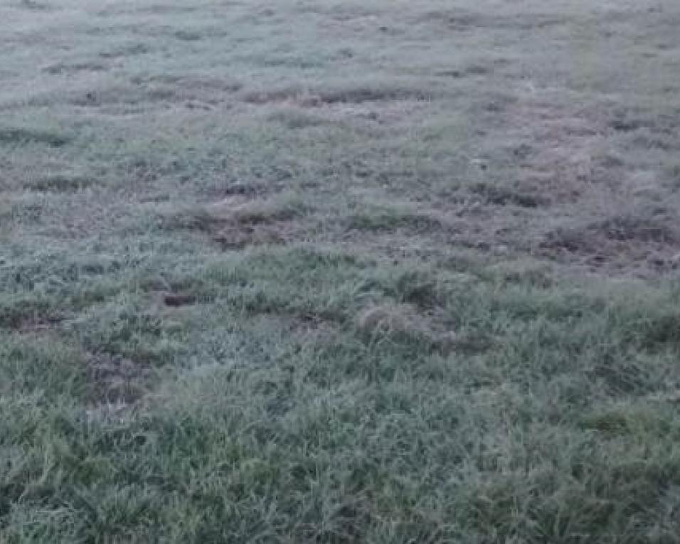 Massa de ar muito frio chega esta quinta. Aveiro em aviso amarelo Massa de ar muito frio chega esta quinta. Aveiro em aviso amarelo