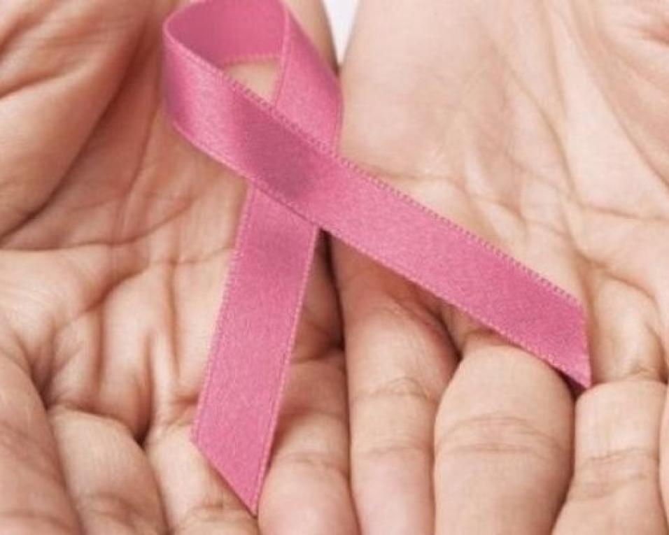 Aveiro: Prevenção no centro do programa que assinala o Dia Mundial do Cancro. Aveiro: Prevenção no centro do programa que assinala o Dia Mundial do Cancro.