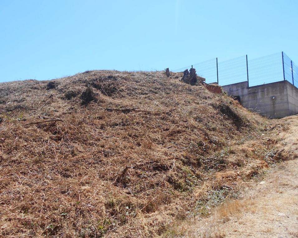 Oliveira do Bairro: Autarquia promove sessões de esclarecimento sobre limpeza de matos. Oliveira do Bairro: Autarquia promove sessões de esclarecimento sobre limpeza de matos.