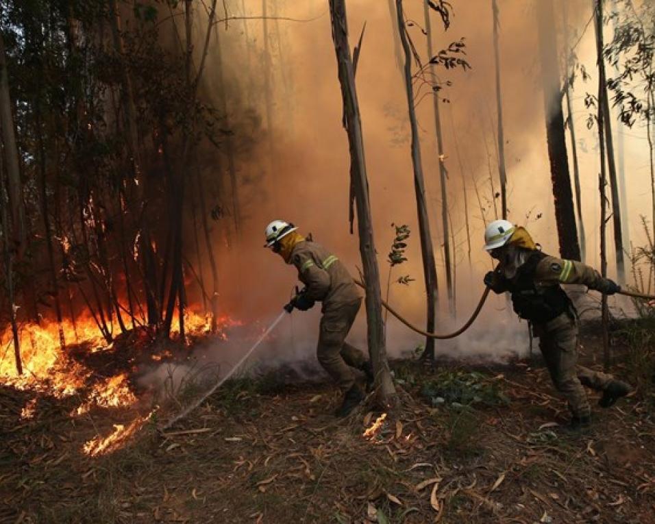 Última Hora: Fogo em Albergaria combatido por perto de 100 Bombeiros. Última Hora: Fogo em Albergaria combatido por perto de 100 Bombeiros.