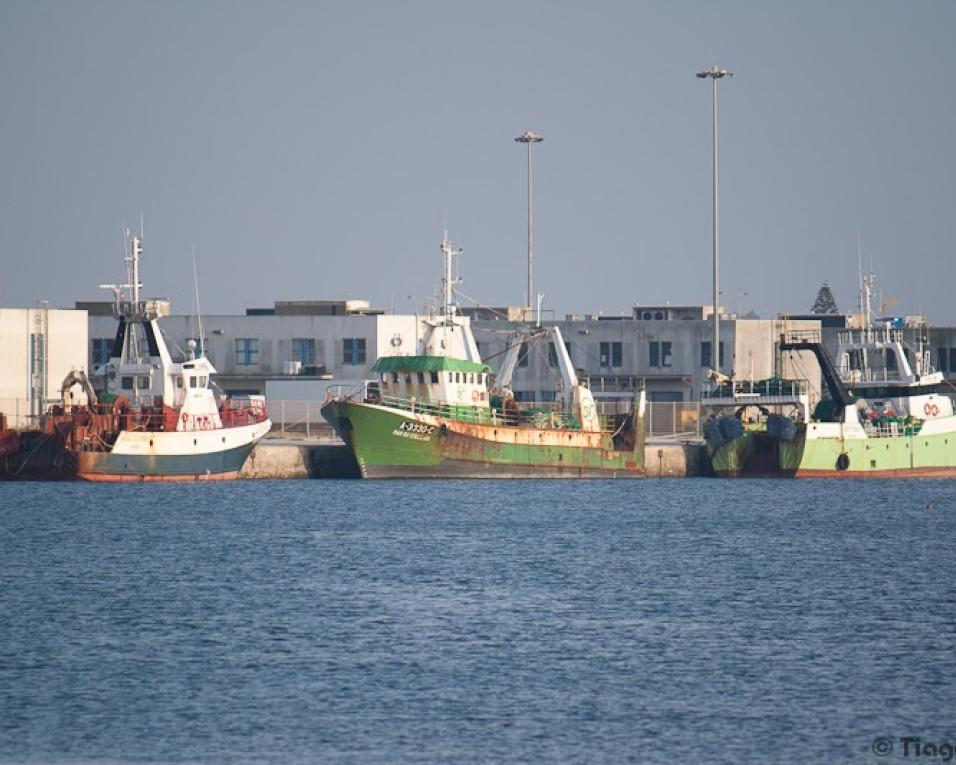 APA garante mais investimento em segurança no Porto de Pesca Costeira da Gafanha da Nazaré. APA garante mais investimento em segurança no Porto de Pesca Costeira da Gafanha da Nazaré.