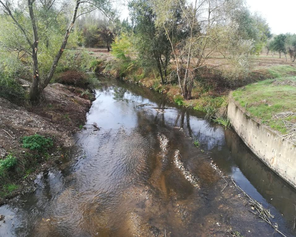 Município de Anadia limpa rios Cértima e da Serra. Município de Anadia limpa rios Cértima e da Serra.