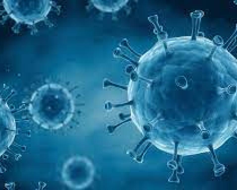 DGS: Aumenta o números de internados nos Hospitais com a Covid-19. Oito mortes nas últimas horas. DGS: Aumenta o números de internados nos Hospitais com a Covid-19. Oito mortes nas últimas horas.