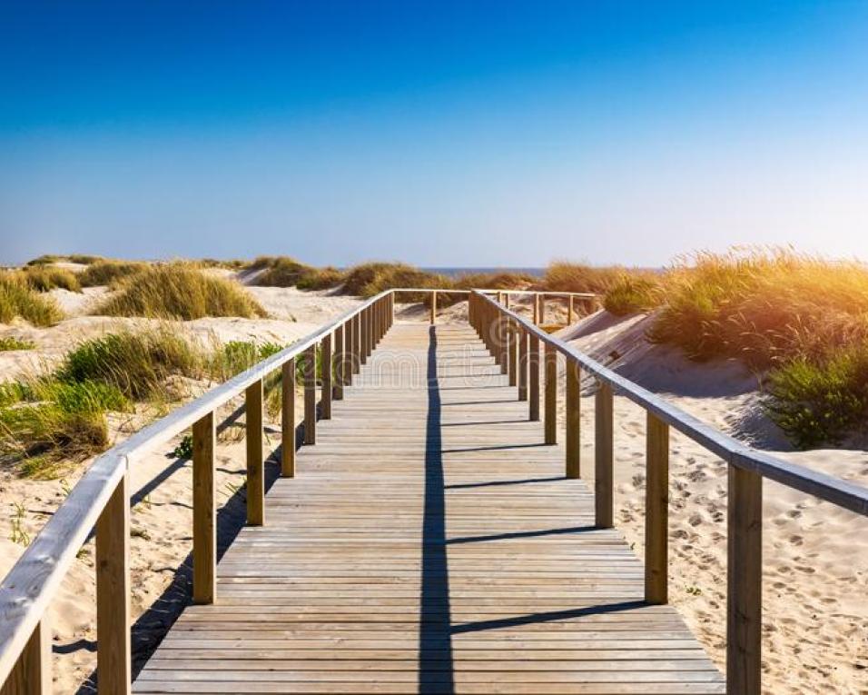 Obra nos passadiços entre a Barra e Costa Nova está impugnada. Obra nos passadiços entre a Barra e Costa Nova está impugnada.