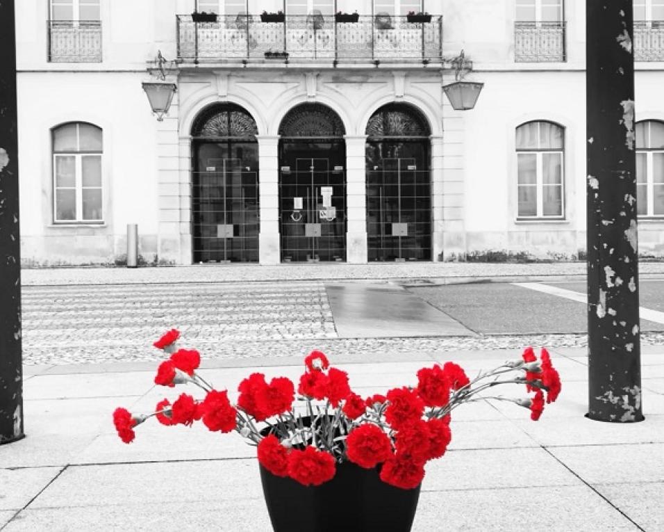 Anadia: Dia Mundial da Poesia com ação de rua. Anadia: Dia Mundial da Poesia com ação de rua.