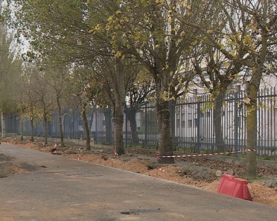 PAN solidariza-se com coletivos ambientais e pede respostas à Câmara sobre incidente em São Bernardo. PAN solidariza-se com coletivos ambientais e pede respostas à Câmara sobre incidente em São Bernardo.