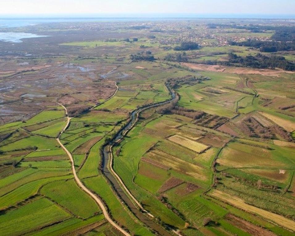 Região de Aveiro tem projetos de regadio com financiamento garantido. Região de Aveiro tem projetos de regadio com financiamento garantido.