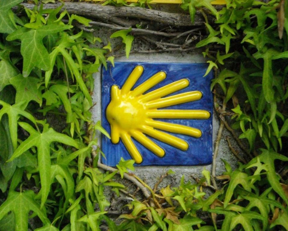 Caminho de Santiago no Centro de Portugal garante certificação oficial. Caminho de Santiago no Centro de Portugal garante certificação oficial.