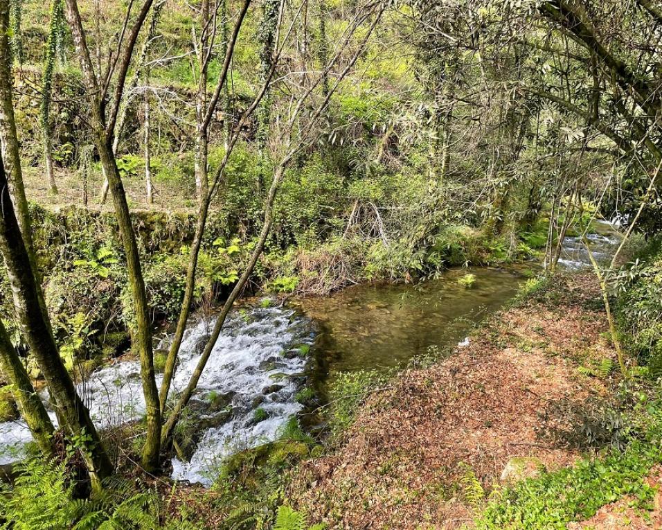 Liga dos Amigos e Naturais de Couto Esteves promove concurso de arte. Liga dos Amigos e Naturais de Couto Esteves promove concurso de arte.