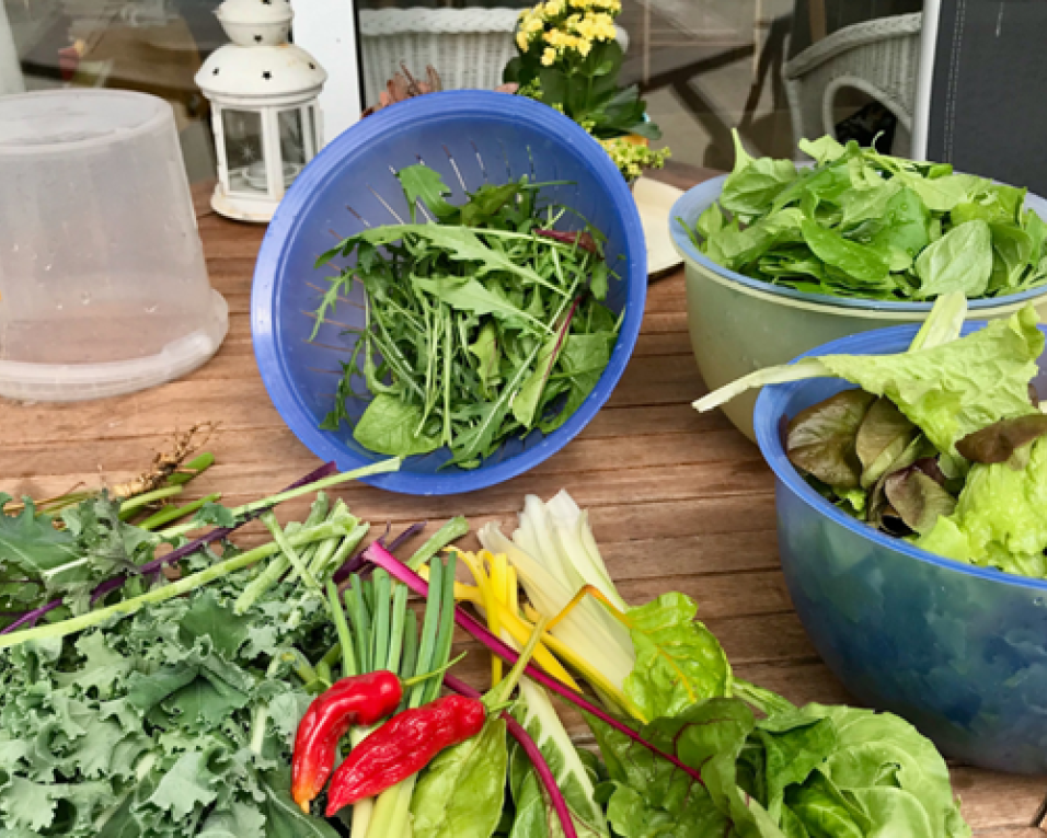 Biblioteca Municipal de Ílhavo ensina a “Reduzir o desperdício na cozinha”. Biblioteca Municipal de Ílhavo ensina a “Reduzir o desperdício na cozinha”.