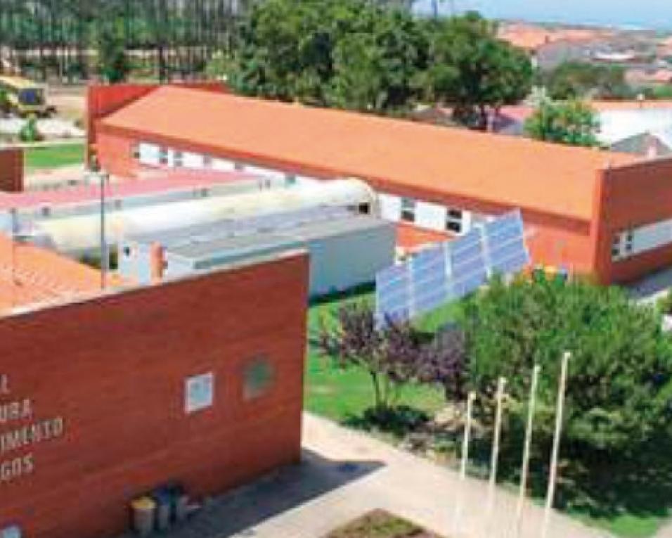 Vagos: Escola de Agricultura organiza seminário “Abelhas no Recreio” Vagos: Escola de Agricultura organiza seminário “Abelhas no Recreio”