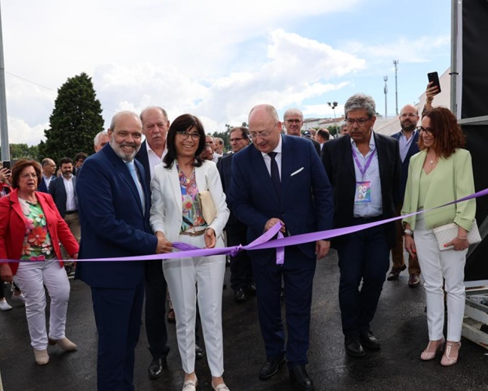 Anadia: Autarquia apela ao governo que pondere efeitos da alta velocidade na vinha. Anadia: Autarquia apela ao governo que pondere efeitos da alta velocidade na vinha.