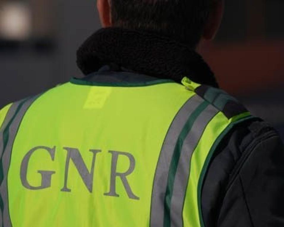 GNR apanhou 432 condutores em excesso de velocidade. GNR apanhou 432 condutores em excesso de velocidade.
