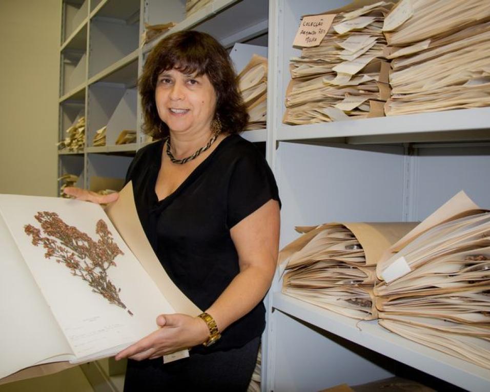 Universidade de Aveiro assinala o Dia Europeu do Património Académico. Universidade de Aveiro assinala o Dia Europeu do Património Académico.