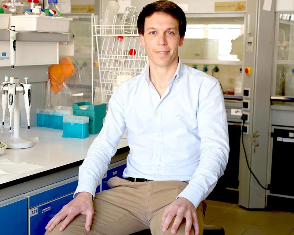 Investigador do CICECO integra Global Young Academy. Investigador do CICECO integra Global Young Academy.