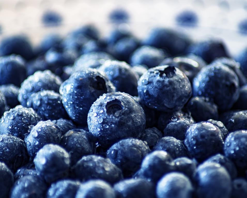 Feira Nacional do Mirtilo está de regresso a Sever do Vouga. Feira Nacional do Mirtilo está de regresso a Sever do Vouga.