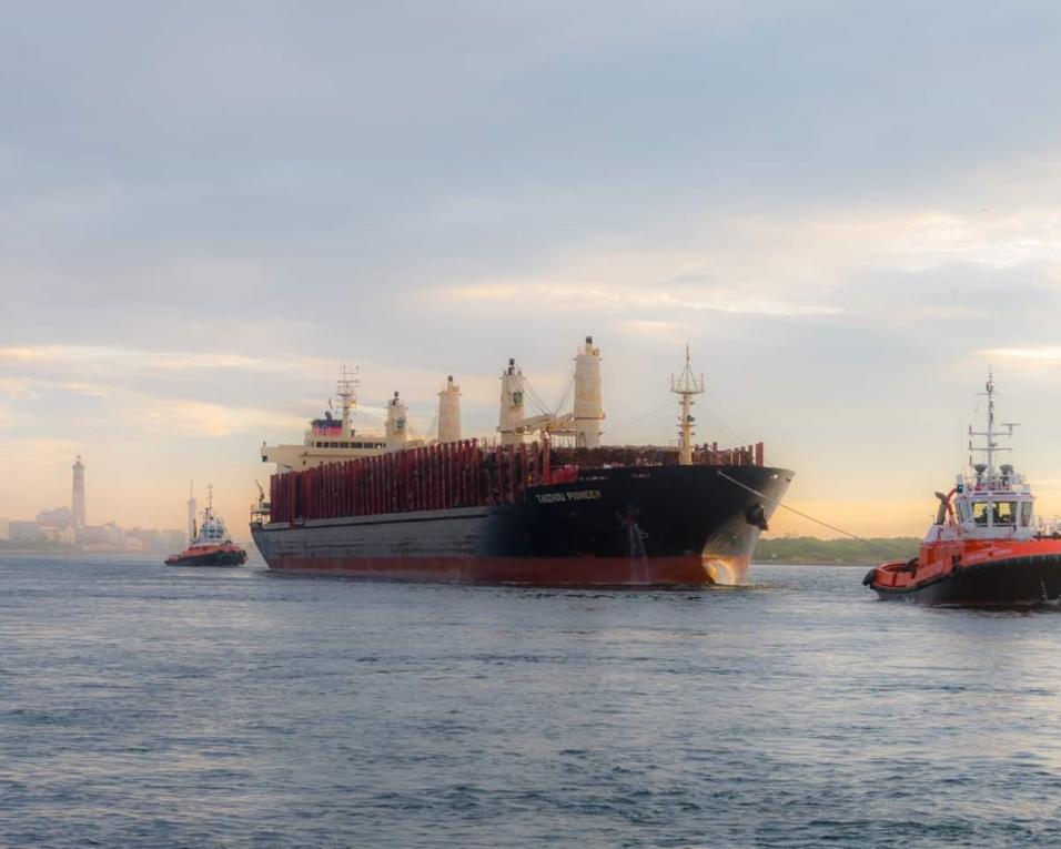 Navio com carga de madeira do Brasil inicia rota para Aveiro. Navio com carga de madeira do Brasil inicia rota para Aveiro.