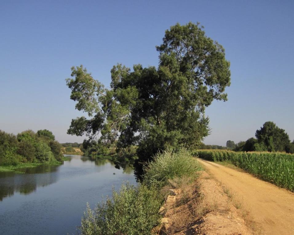 Centro de Interpretação da Pateira de Frossos certificado pela Biosphere. Centro de Interpretação da Pateira de Frossos certificado pela Biosphere.