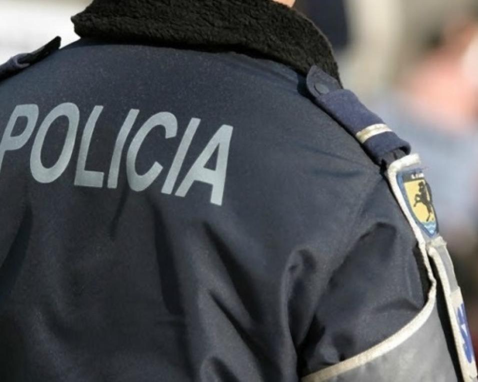 PSP fiscaliza condições de acolhimento de animais. PSP fiscaliza condições de acolhimento de animais.