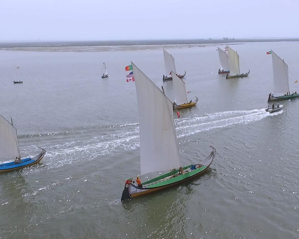 Zé Rito vence regata de moliceiros em dia de aniversário. Zé Rito vence regata de moliceiros em dia de aniversário.