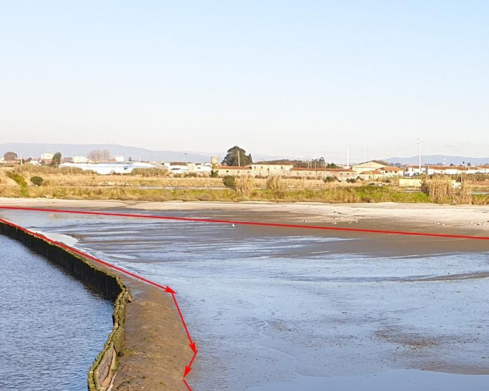 Estamos contentes porque o Maria começa a fazer passar os alertas - Movimento dos Amigos da Ria. Estamos contentes porque o Maria começa a fazer passar os alertas - Movimento dos Amigos da Ria.