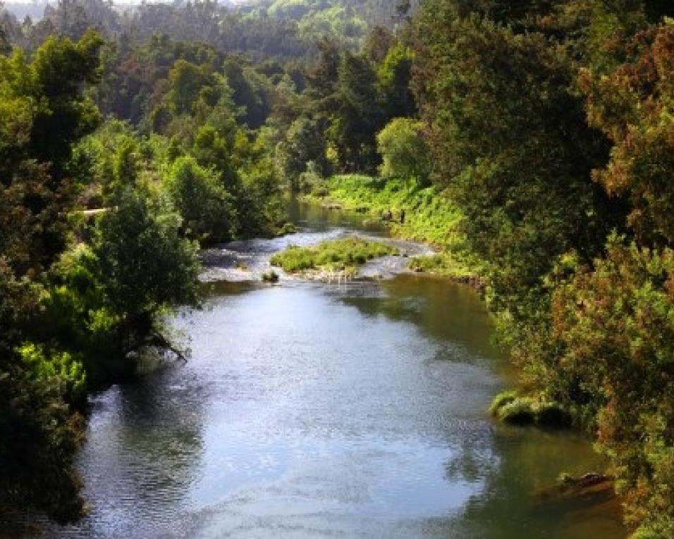 Verdes questionam Governo sobre despoluição do Rio Caima. Verdes questionam Governo sobre despoluição do Rio Caima.