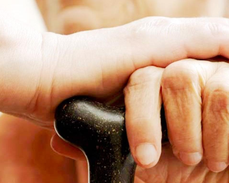 “Maiores Pela Janela” com programação para seniores de Ílhavo em tempo de pandemia. “Maiores Pela Janela” com programação para seniores de Ílhavo em tempo de pandemia.