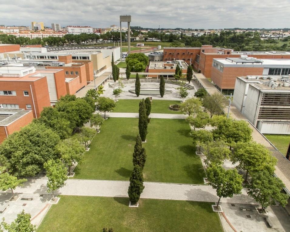 CGD distingue 14 alunos da UA com prémio de mil euros. CGD distingue 14 alunos da UA com prémio de mil euros.