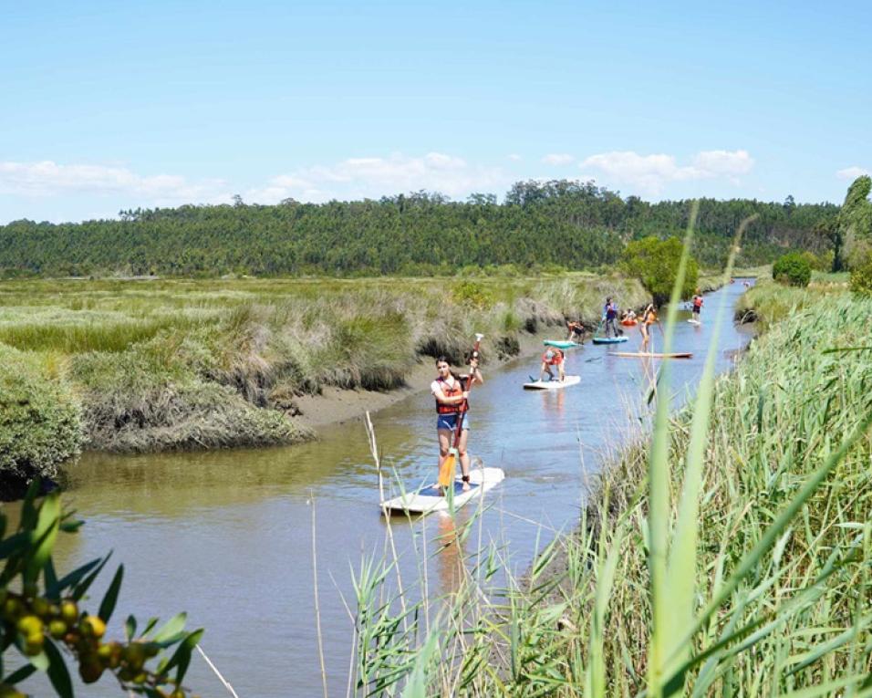 Surf na Vila vai ao centro de Vagos. Surf na Vila vai ao centro de Vagos.