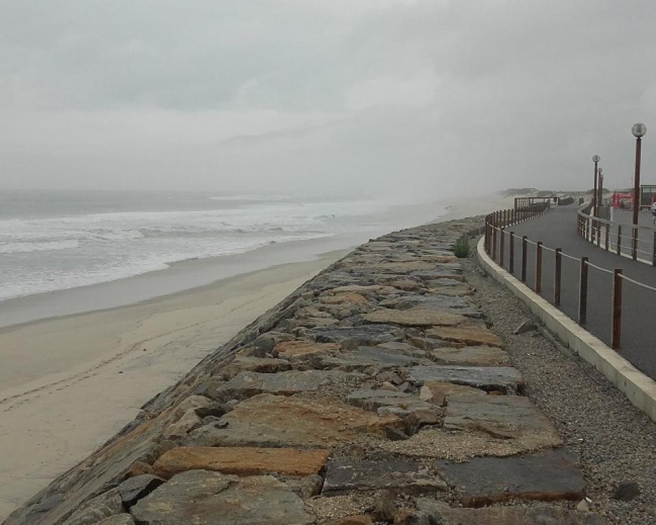 Vagos: Jovens fiscalizam” cumprimento de requisitos da bandeira azul e normas da DGS. Vagos: Jovens fiscalizam” cumprimento de requisitos da bandeira azul e normas da DGS.