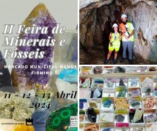 II Feira de Minerais e Fósseis Aveiro 2024 II Feira de Minerais e Fósseis Aveiro 2024