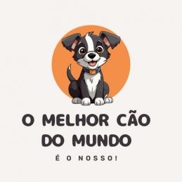 Ep02 - O melhor Cão do Mundo é o Nosso - Vacinas II Gatos Ep02 - O melhor Cão do Mundo é o Nosso - Vacinas II Gatos