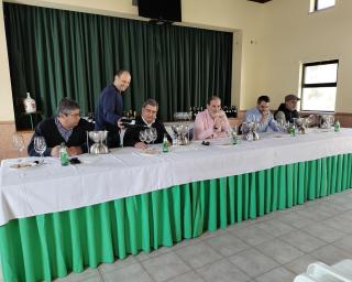 associação de vilanova de monsarros promove concurso de vinhos associação de vilanova de monsarros promove concurso de vinhos