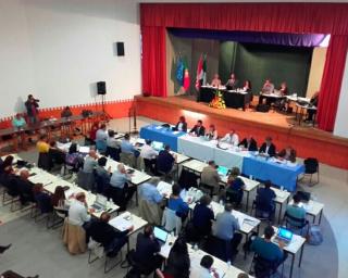 AMA: Não é a Câmara de Aveiro que está com as mãos na cabeça”, devido à concessão da recolha de lixo - Ribau Esteves (CMA). AMA: Não é a Câmara de Aveiro que está com as mãos na cabeça”, devido à concessão da recolha de lixo - Ribau Esteves (CMA).