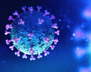 Nova subida de internados em dia com 44 mortes por Covid-19. Nova subida de internados em dia com 44 mortes por Covid-19.