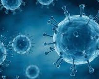 DGS: Aumenta o números de internados nos Hospitais com a Covid-19. Oito mortes nas últimas horas. DGS: Aumenta o números de internados nos Hospitais com a Covid-19. Oito mortes nas últimas horas.
