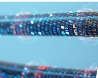 Ílhavo: Sector Elétrico distingue melhores empresas. Ílhavo: Sector Elétrico distingue melhores empresas.