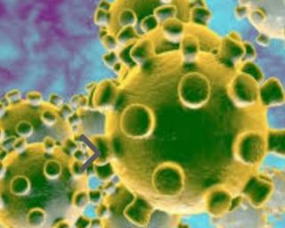 DGS: Quase 1500 novos casos em dia com três mortes por Covid-19. DGS: Quase 1500 novos casos em dia com três mortes por Covid-19.