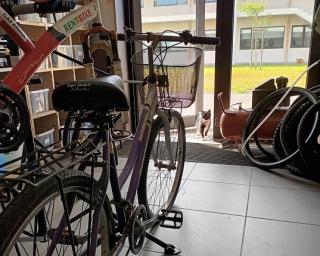 Gafanha da Nazaré: Bicicletas do Gafanha Bike Lab vão para as jornadas mundiais da juventude. Gafanha da Nazaré: Bicicletas do Gafanha Bike Lab vão para as jornadas mundiais da juventude.