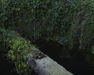 PJ: Corpo encontrado em Ovar é de Patrícia Simonetti. PJ: Corpo encontrado em Ovar é de Patrícia Simonetti.