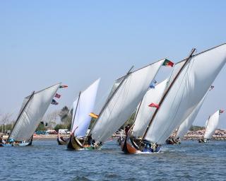Murtosa: Festa do Emigrante regressa no início de Agosto. Murtosa: Festa do Emigrante regressa no início de Agosto.