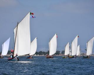Murtosa: Festa do Emigrante agendada para a próxima semana. Murtosa: Festa do Emigrante agendada para a próxima semana.