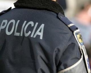 PSP fiscaliza condições de acolhimento de animais. PSP fiscaliza condições de acolhimento de animais.