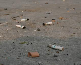 'Caça à Beata na Praia da Barra' é já este sábado (10h00). 'Caça à Beata na Praia da Barra' é já este sábado (10h00).