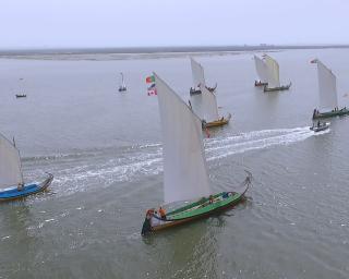 Zé Rito vence regata de moliceiros em dia de aniversário. Zé Rito vence regata de moliceiros em dia de aniversário.