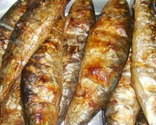 Escuteiros da Barra iniciam angariação de fundos em sardinhada junto ao Farol. Escuteiros da Barra iniciam angariação de fundos em sardinhada junto ao Farol.