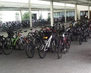 'Dia Aberto' na Escola Secundária da Gafanha da Nazaré, na sexta e sábado. Mais ciclovias seriam importantes - José Rodrigues. 'Dia Aberto' na Escola Secundária da Gafanha da Nazaré, na sexta e sábado. Mais ciclovias seriam importantes - José Rodrigues.